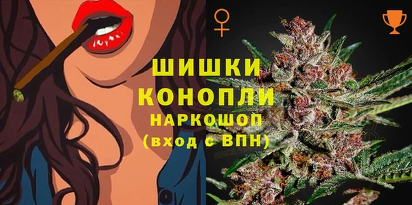 СК Кодинск