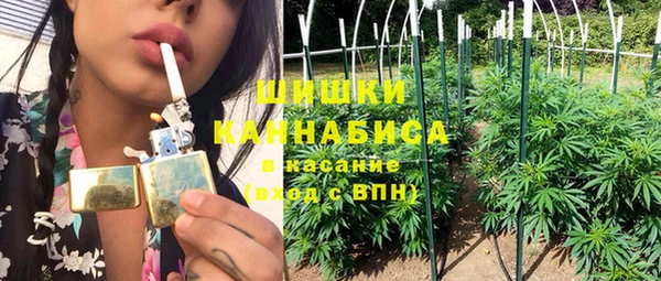 СК Кодинск