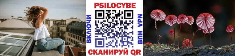 Галлюциногенные грибы Psilocybine cubensis  Вилюйск 